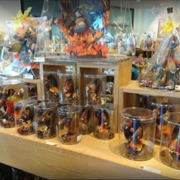 Max Vauché à Bracieux