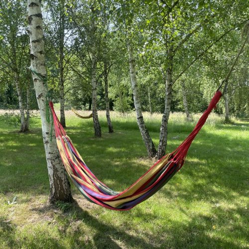 Espace ombragé avec hamacs