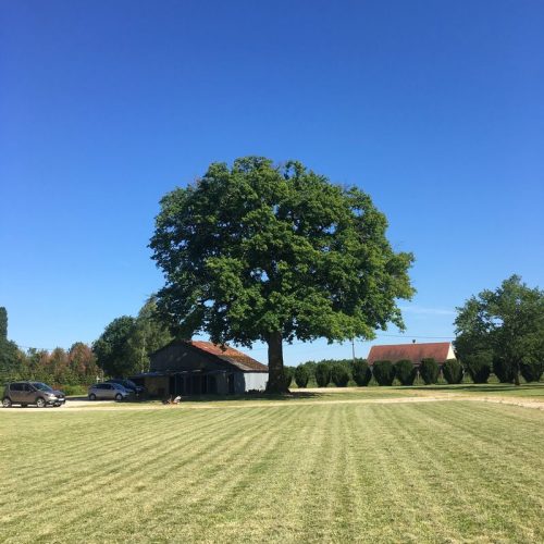 Gite du grand chêne- "Le chêne"