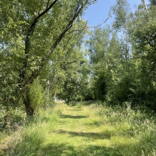 Gite du grand chêne-l'allée de l'étang