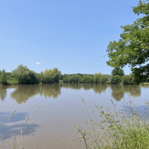 Gite du grand chêne- l'étang