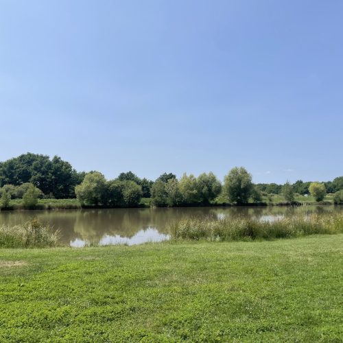 Gite du grand chêne- l'étang vu du gîte