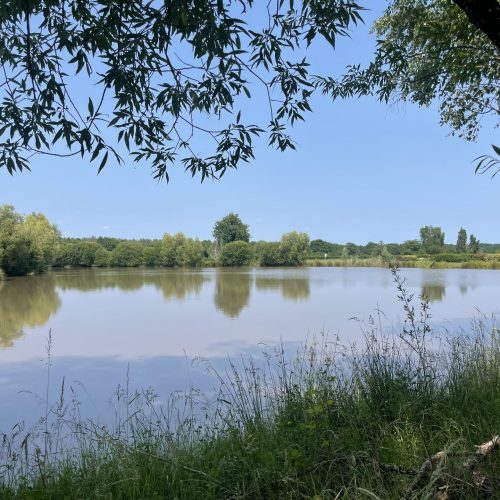 Gite du grand chêne-prommenade autour de l'étang-2