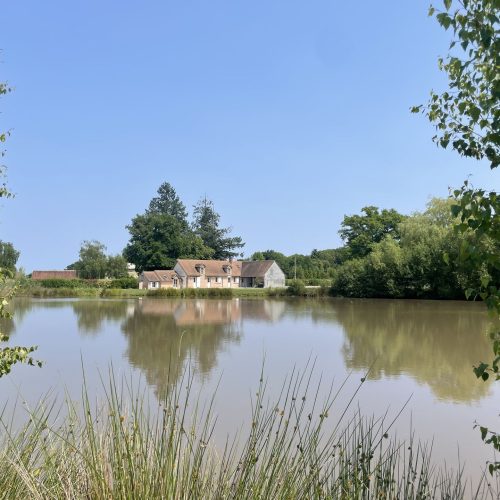 Gite du grand chêne-vu de l'étang